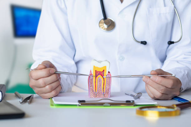 Best Emergency Orthodontic Repairs in Glen Allen, VA